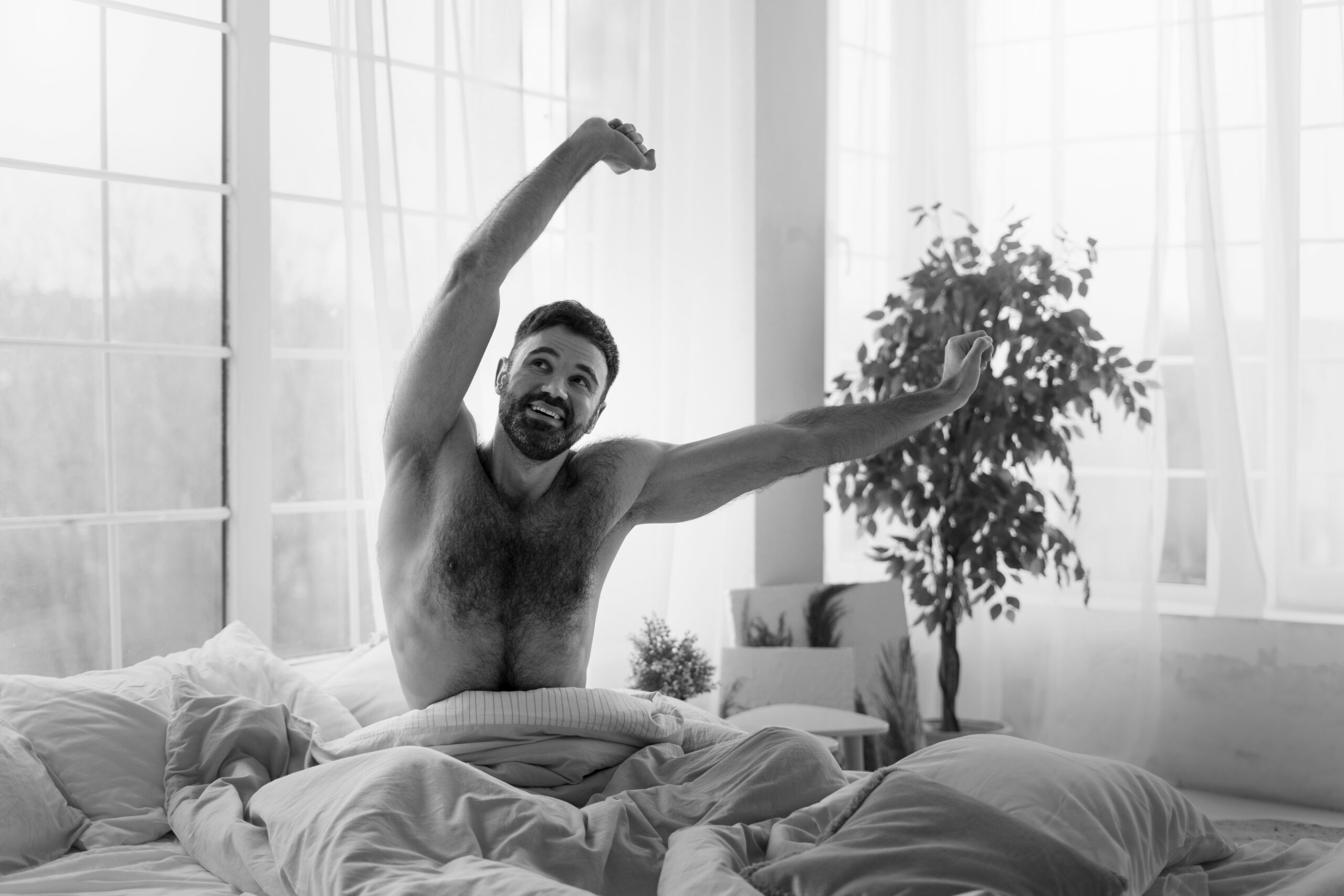 Ereção matinal