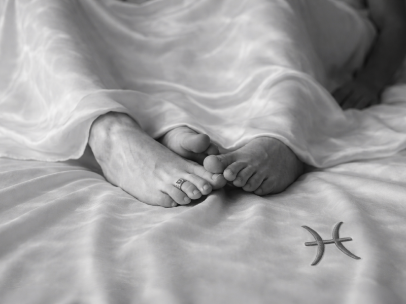 Peixes na intimidade