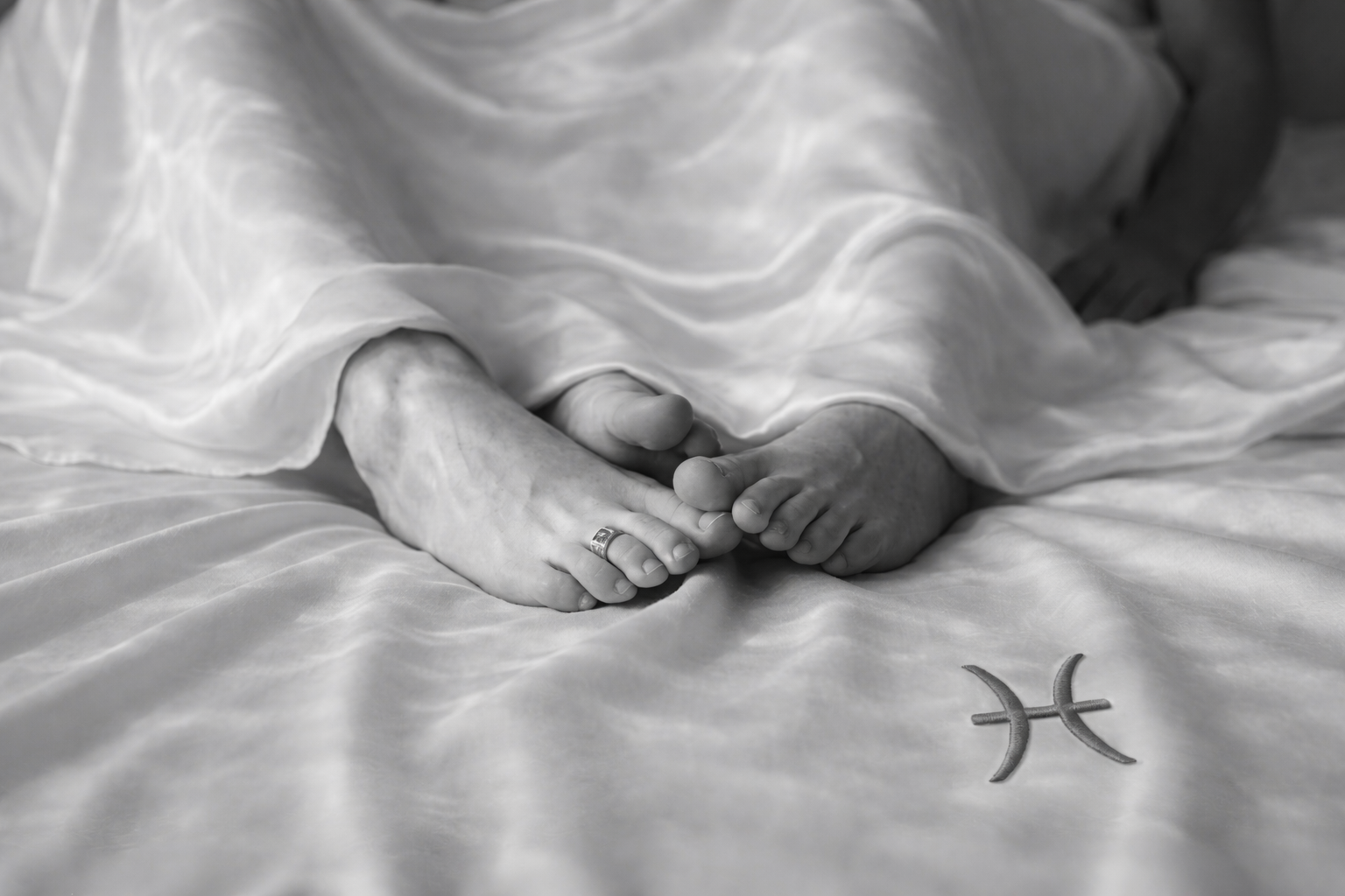 Peixes na intimidade